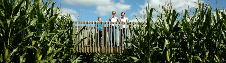 Corn Maze Design - Agritourism Attractions for your Farm