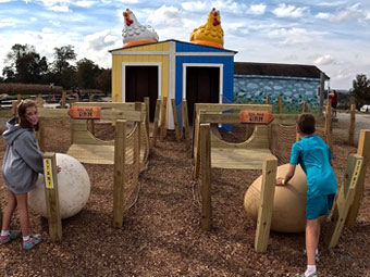 Hen House Hustle Attraction