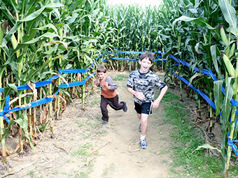 Corn Mazes and More